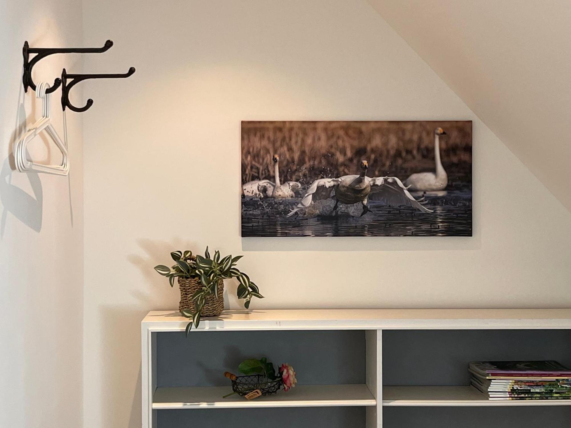 Elb Nest Gaestehaus Neu Darchau Екстер'єр фото